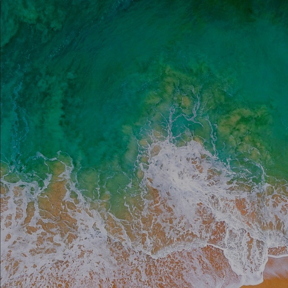 Meet your Posher, Pavel - Picture 1 of 1